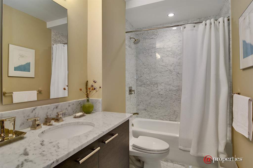 2550 N Lakeview Avenue #N1204 Chicago, Illinois 60614 - Bathroom