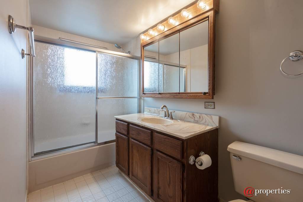 6100 W Leland Avenue #204 Chicago, Illinois 60630 - Bathroom