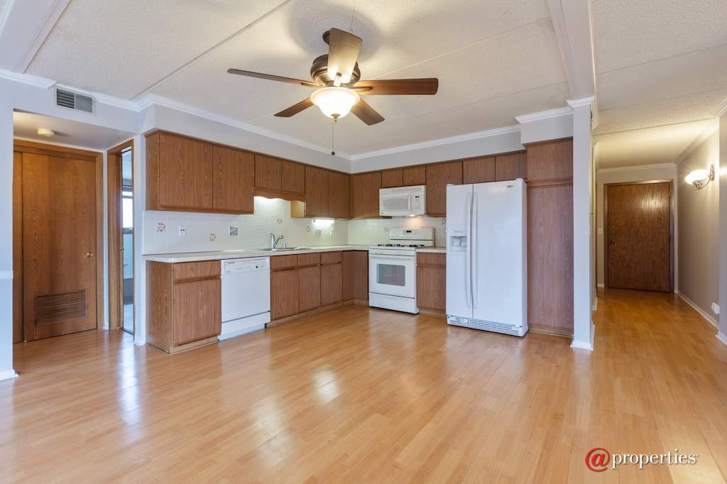 6100 W Leland Avenue #204 Chicago, Illinois 60630 - Kitchen