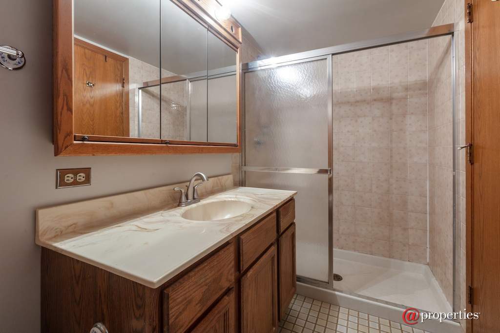 6100 W Leland Avenue #204 Chicago, Illinois 60630 - Bathroom