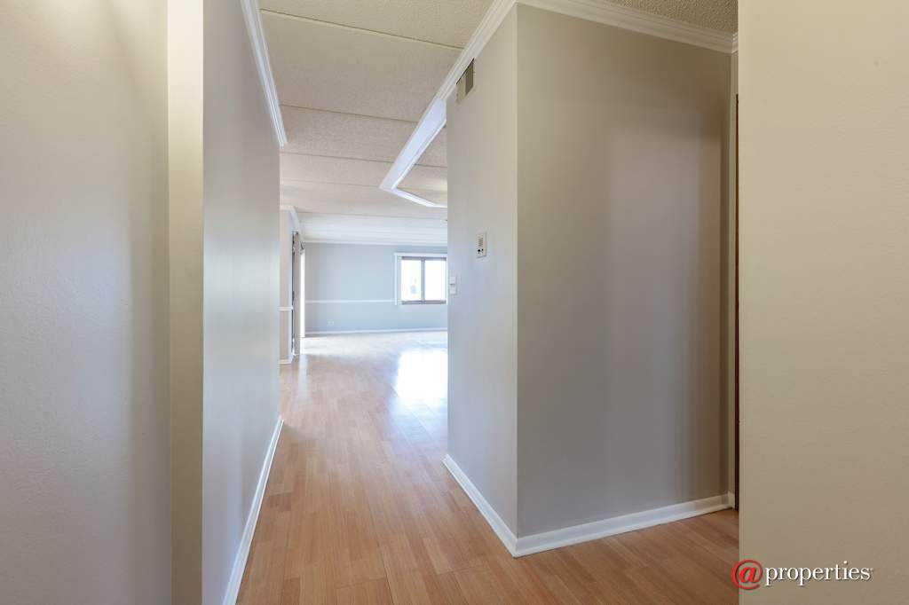 6100 W Leland Avenue #204 Chicago, Illinois 60630 - Entryway