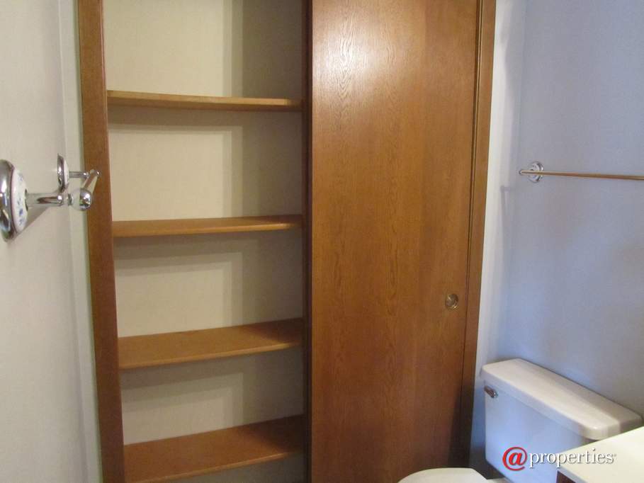 6100 W Leland Avenue #204 Chicago, Illinois 60630 - Image 24