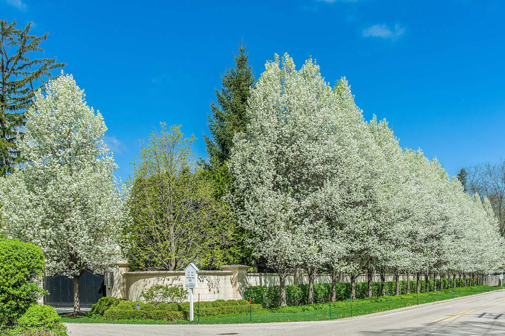 68 Locust Road Winnetka, Illinois 60093 - Entryway