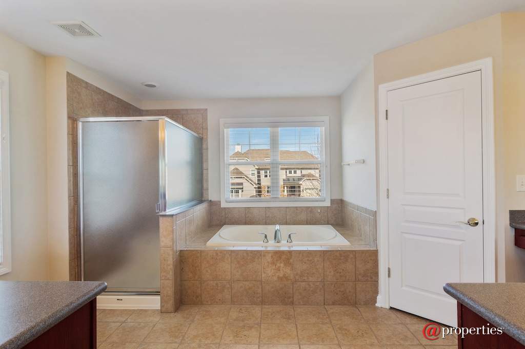 1361 Grantham Drive Schaumburg, Illinois 60193 - Master Bathroom