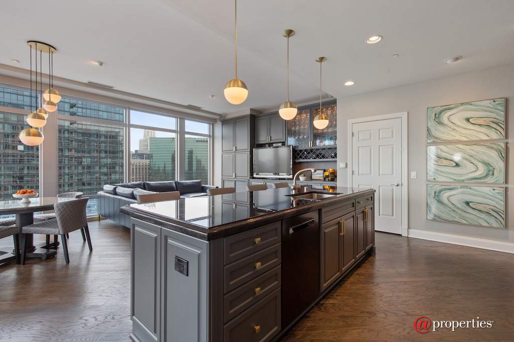 333 N Canal Street #3101 Chicago, Illinois 60606 - Kitchen
