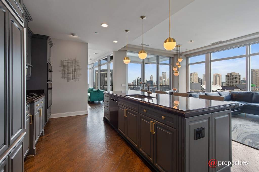 333 N Canal Street #3101 Chicago, Illinois 60606 - Kitchen