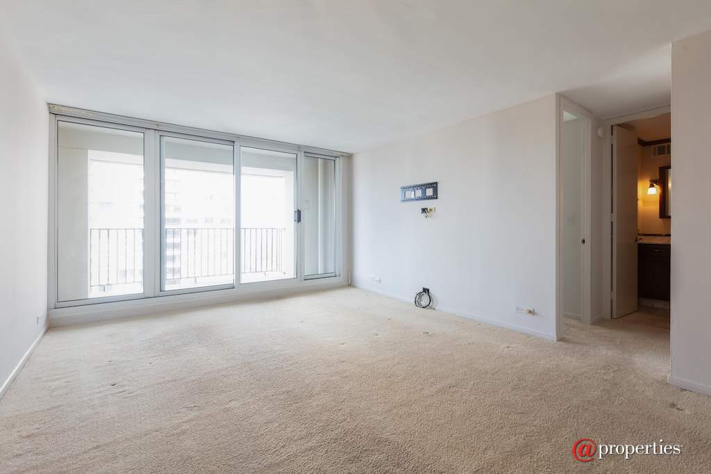 1960 N Lincoln Park West #811 Chicago, Illinois 60614 - Living Room