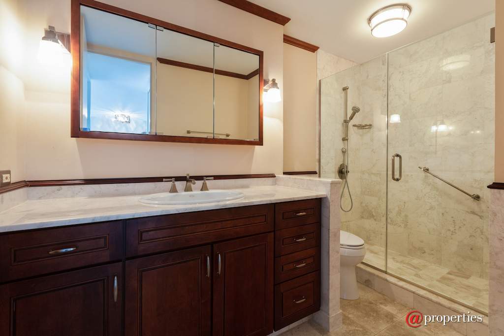 1960 N Lincoln Park West #811 Chicago, Illinois 60614 - Bathroom