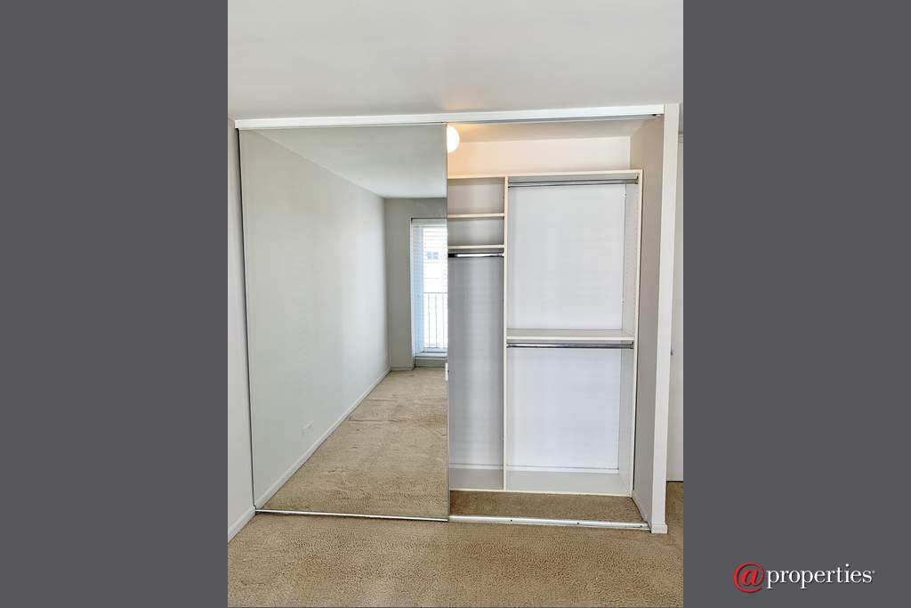 1960 N Lincoln Park West #811 Chicago, Illinois 60614 - Bedroom Closet / Right