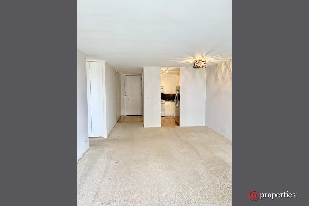 1960 N Lincoln Park West #811 Chicago, Illinois 60614 - Entry / Living Room / Dining Room / Kitchen