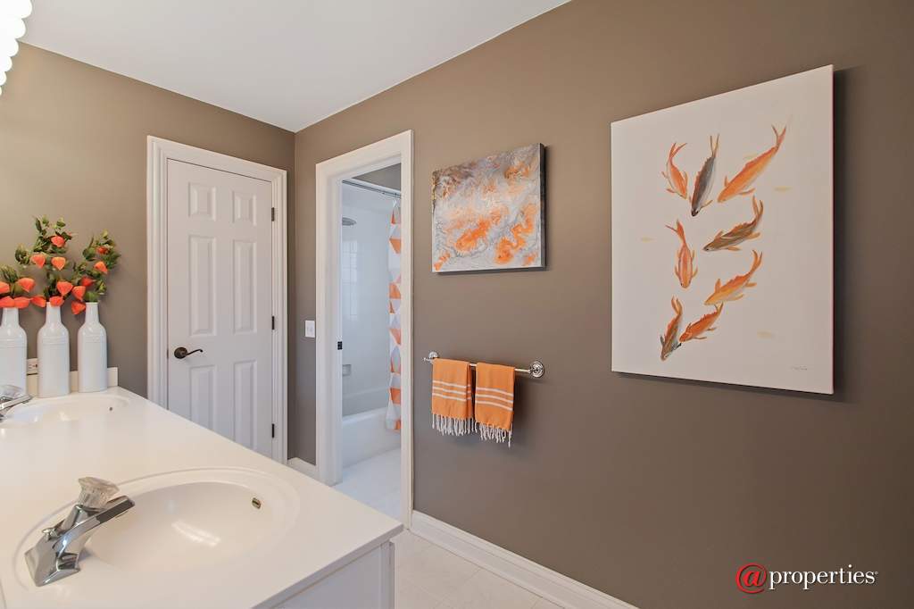 930 Lakewood Drive Barrington, Illinois 60010 - Hall Bathroom