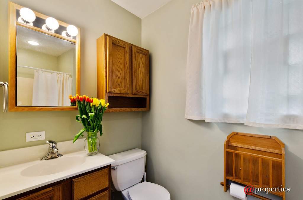 745 S Mitchell Avenue Arlington Heights, Illinois 60005 - First Floor Bathroom
