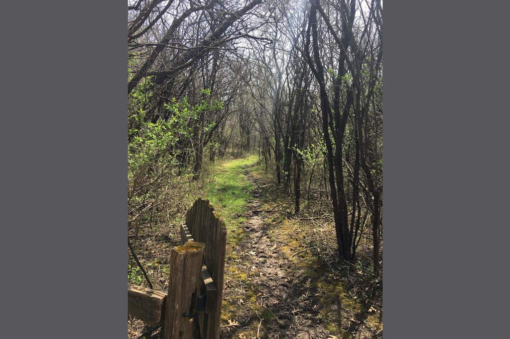 306 Ridge Road Barrington Hills, Illinois 60010 - Trail