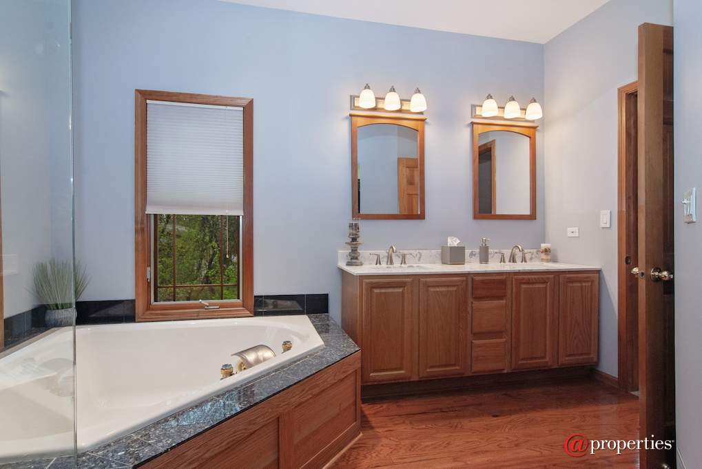 43W887 Old Midlothian Elburn, Illinois 60119 - Master Bathroom