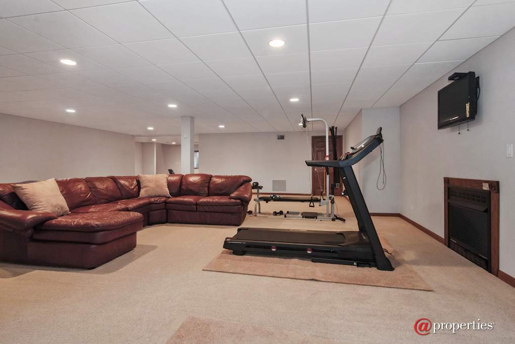 43W887 Old Midlothian Elburn, Illinois 60119 - Basement