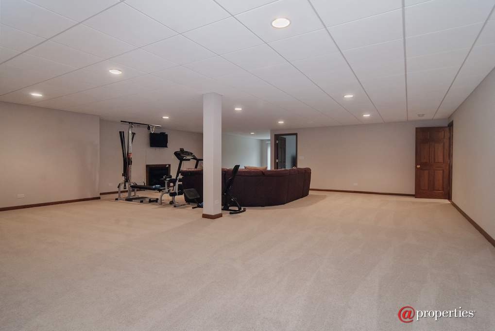 43W887 Old Midlothian Elburn, Illinois 60119 - Basement