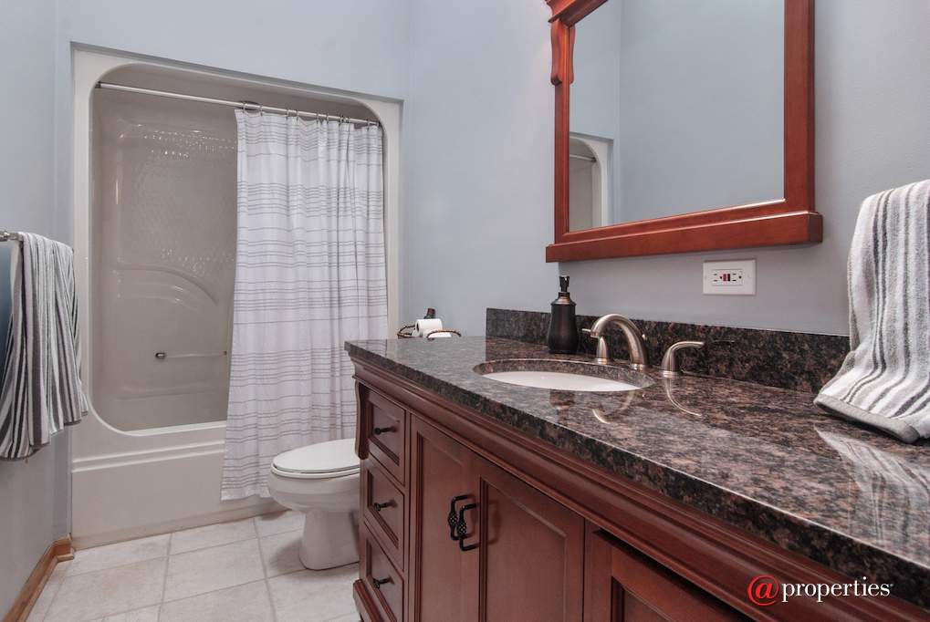 43W887 Old Midlothian Elburn, Illinois 60119 - Bathroom