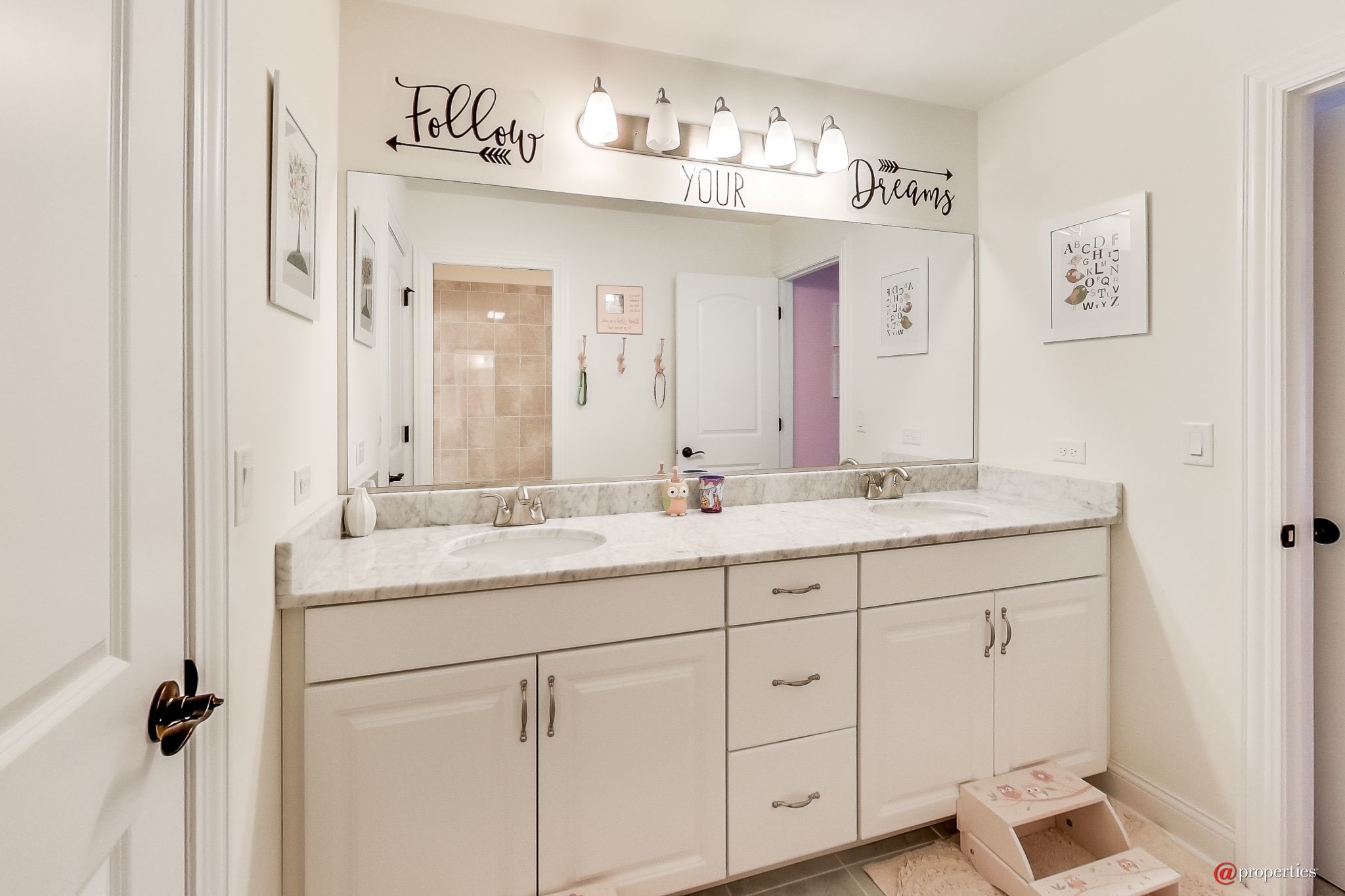 1430 N Race Avenue Arlington Heights, Illinois 60004 - Semi-Ensuite